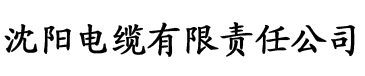 女儿的秘密电缆厂logo